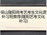 保山隆阳高考艺考生文化课补习班推荐(隆阳艺考文化补习)