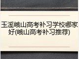 玉溪峨山高考补习学校哪家好(峨山高考补习推荐)