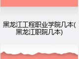 黑龙江工程职业学院几本(黑龙江职院几本)