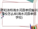 呼和浩特清水河县单招集训学校怎么样(清水河县单招学校)