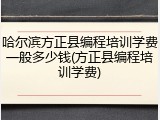 哈尔滨方正县编程培训学费一般多少钱(方正县编程培训学费)
