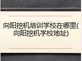 向阳挖机培训学校在哪里(向阳挖机学校地址)