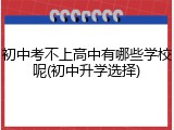 初中考不上高中有哪些学校呢(初中升学选择)