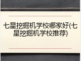七星挖掘机学校哪家好(七星挖掘机学校推荐)