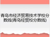 青岛市经济贸易技术学校分数线(青岛经贸校分数线)