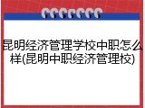 昆明经济管理学校中职怎么样(昆明中职经济管理校)