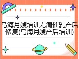 乌海月嫂培训无痛催乳产后修复(乌海月嫂产后培训)