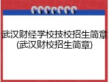 武汉财经学校技校招生简章(武汉财校招生简章)