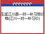 玉溪江川县一对一补习班价格(江川一对一补习价)
