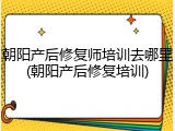 朝阳产后修复师培训去哪里(朝阳产后修复培训)