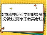 南京科技职业学院职教高考分数线(南京职教高考线)