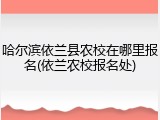 哈尔滨依兰县农校在哪里报名(依兰农校报名处)