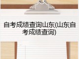 自考成绩查询山东(山东自考成绩查询)