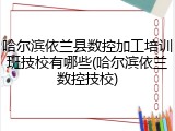 哈尔滨依兰县数控加工培训班技校有哪些(哈尔滨依兰数控技校)