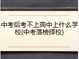 中考后考不上高中上什么学校(中考落榜择校)