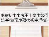 南京初中生考不上高中如何选学校(南京落榜初中择校)