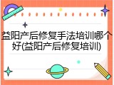 益阳产后修复手法培训哪个好(益阳产后修复培训)