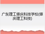 广东理工肇庆科技学校(肇庆理工科技)