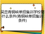 吴忠青铜峡单招集训学校要什么条件(青铜峡单招集训条件)