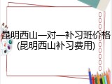 昆明西山一对一补习班价格(昆明西山补习费用)