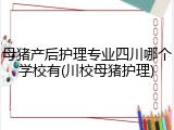 母猪产后护理专业四川哪个学校有(川校母猪护理)