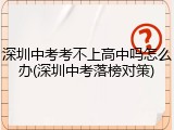 深圳中考考不上高中吗怎么办(深圳中考落榜对策)