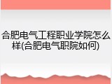 合肥电气工程职业学院怎么样(合肥电气职院如何)