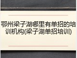 鄂州梁子湖哪里有单招的培训机构(梁子湖单招培训)