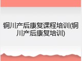 铜川产后康复课程培训(铜川产后康复培训)