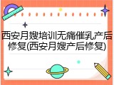 西安月嫂培训无痛催乳产后修复(西安月嫂产后修复)
