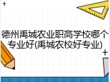 德州禹城农业职高学校哪个专业好(禹城农校好专业)