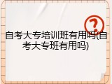 自考大专培训班有用吗(自考大专班有用吗)