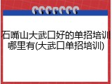 石嘴山大武口好的单招培训哪里有(大武口单招培训)