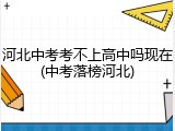河北中考考不上高中吗现在(中考落榜河北)