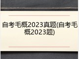 自考毛概2023真题(自考毛概2023题)