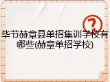 毕节赫章县单招集训学校有哪些(赫章单招学校)