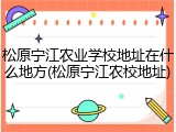 松原宁江农业学校地址在什么地方(松原宁江农校地址)