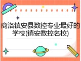 商洛镇安县数控专业最好的学校(镇安数控名校)