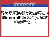 鹤岗绥滨县哪有数控编程培训中心中职怎么样(绥滨数控编程培训)