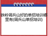 铁岭调兵山好的单招培训哪里有(调兵山单招培训)