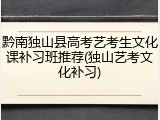 黔南独山县高考艺考生文化课补习班推荐(独山艺考文化补习)