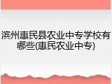 滨州惠民县农业中专学校有哪些(惠民农业中专)