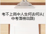 考不上高中人生何去何从(中考落榜出路)
