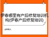 伊春哪里有产后修复培训机构(伊春产后修复培训)