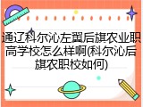 通辽科尔沁左翼后旗农业职高学校怎么样啊(科尔沁后旗农职校如何)