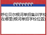 呼伦贝尔根河单招集训学校在哪里(根河单招学校位置)