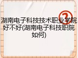 湖南电子科技技术职业学院好不好(湖南电子科技职院如何)