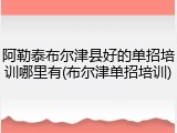 阿勒泰布尔津县好的单招培训哪里有(布尔津单招培训)