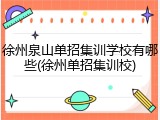 徐州泉山单招集训学校有哪些(徐州单招集训校)