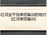 红河金平找单招集训的地方(红河单招集训)